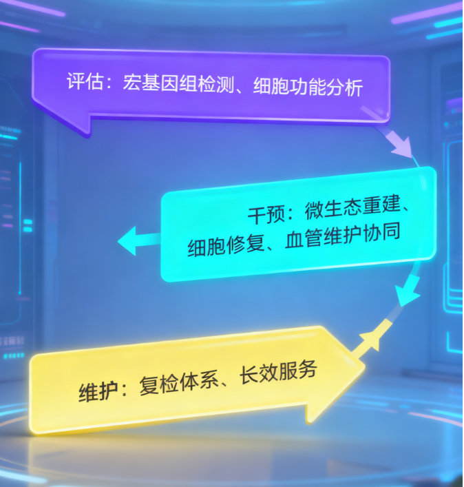 三方共建戰(zhàn)略聯(lián)盟：荷蓬生物攜手承葛生物、諾西生物發(fā)布“微生態(tài)-細(xì)胞-血管”全軸式健康優(yōu)化方案