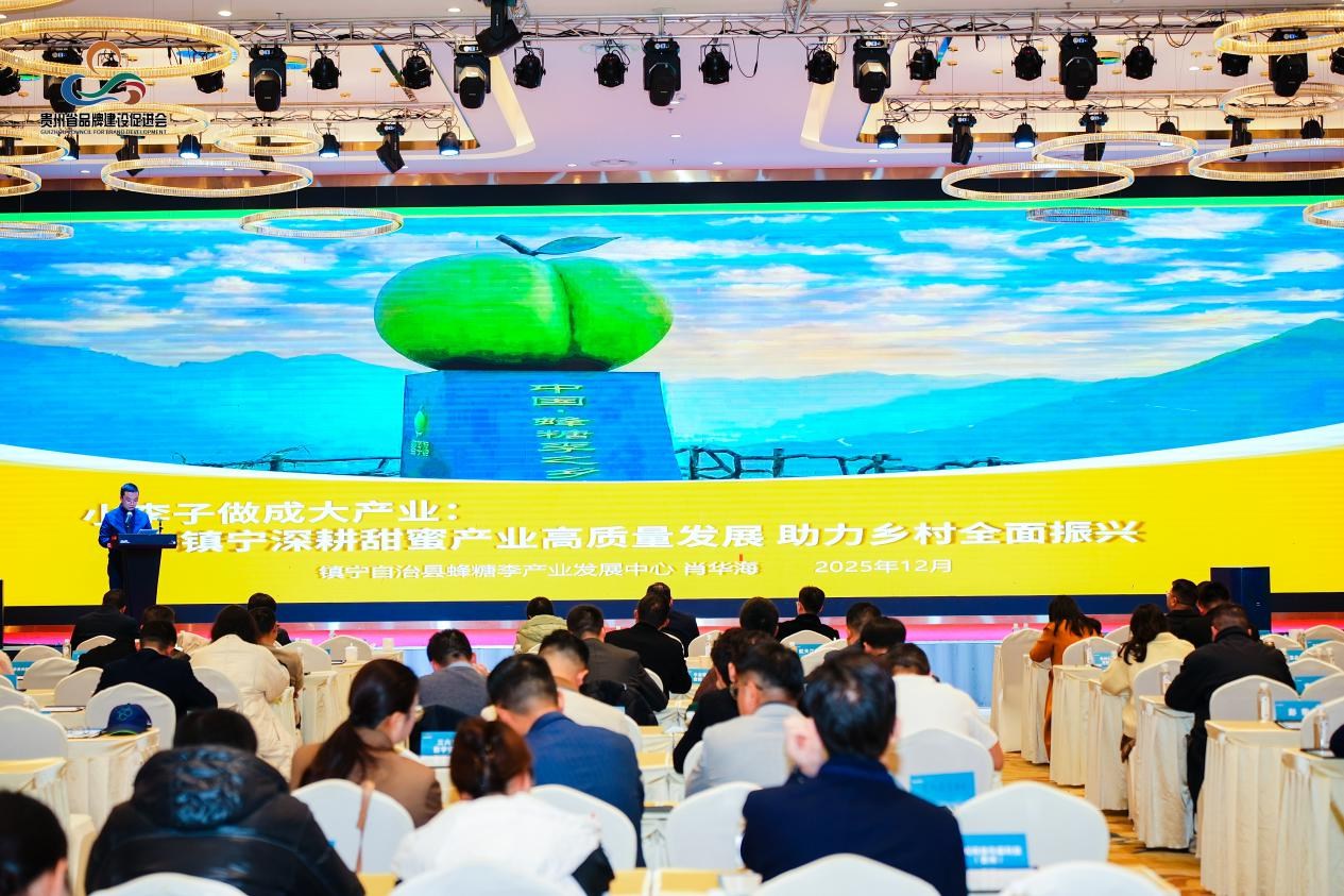 凝心聚力 共筑黔程——譜寫貴州品牌發(fā)展新篇章 