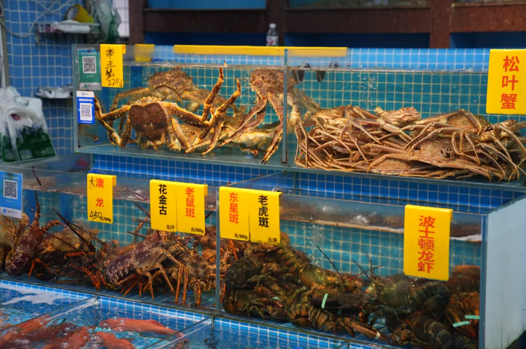 「請(qǐng)到廣東過大年」上線！跟著抖音生活服務(wù)解鎖五城“粵”式狂歡