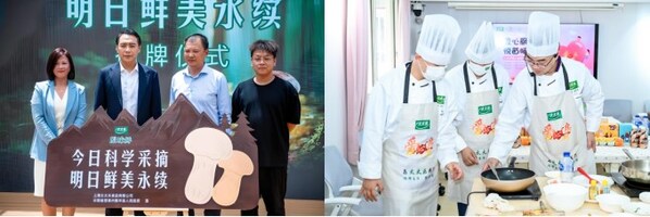 2025【好品牌100】終榜揭曉，太太樂(lè)斬獲調(diào)味品行業(yè)主榜品牌殊榮