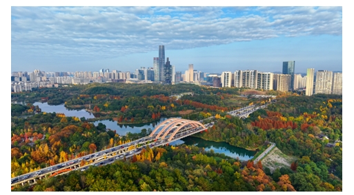 @貴陽(yáng)通：堅(jiān)持深度內(nèi)容創(chuàng)作，十年深耕賦能貴州文化傳播