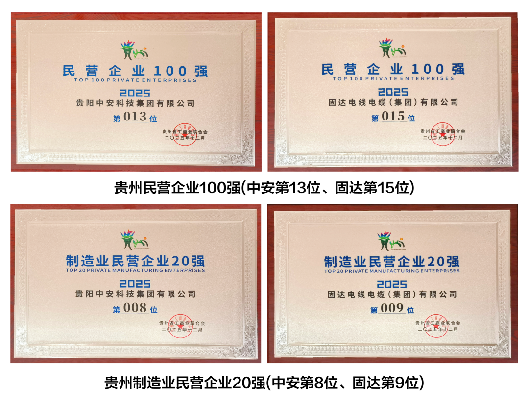 2025貴州民營(yíng)企業(yè)100強(qiáng)公布（附名單）