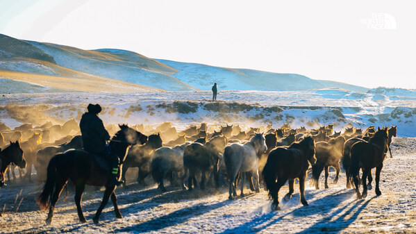 「探索是本命 北面萬馬節(jié)」循跡絲路解鎖甘肅三站，本命集結(jié)感知文化山野