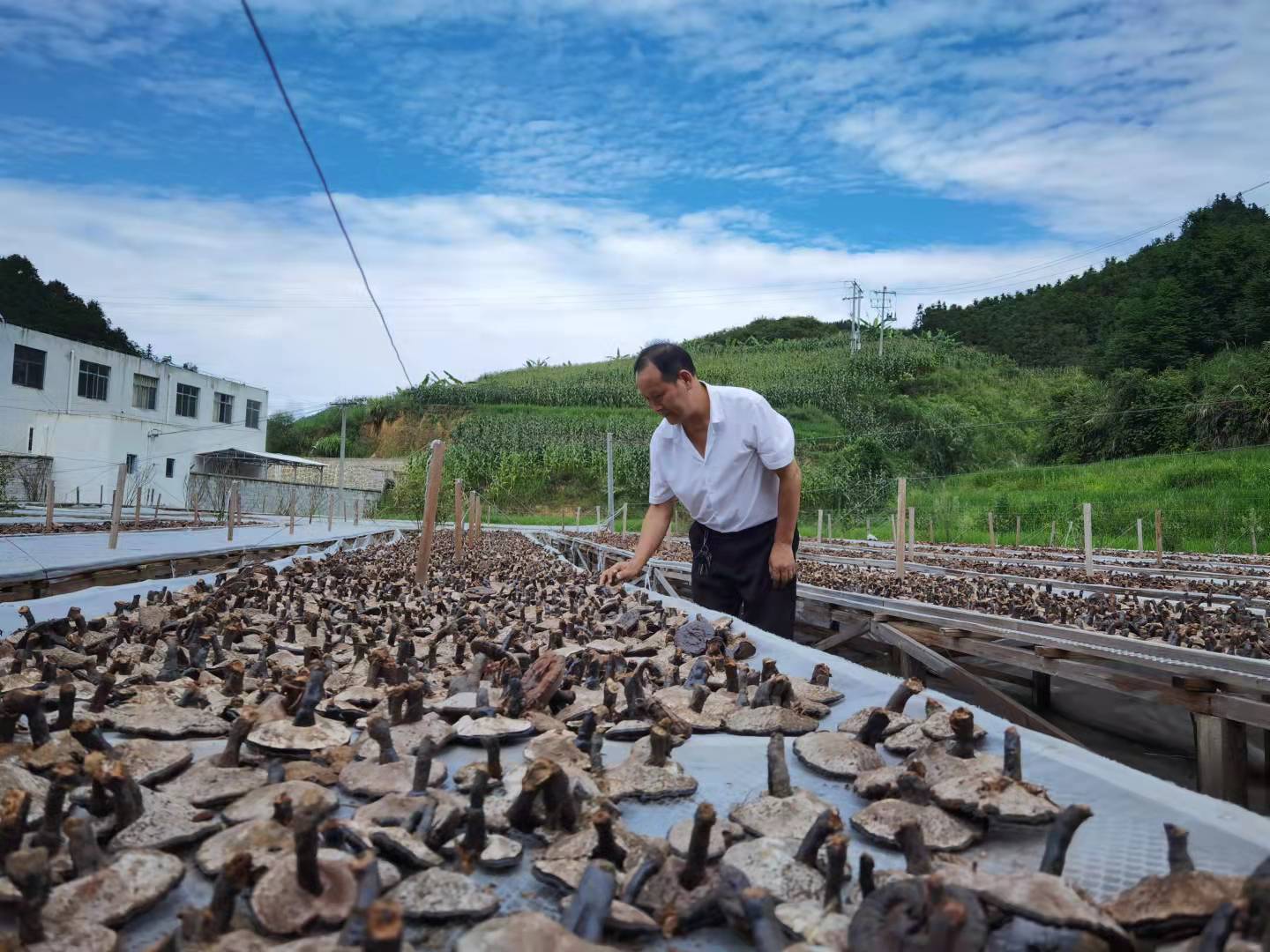 藏在日常里的“貴州科技養(yǎng)生”！貴州中科分子讓道地本草走進(jìn)千萬家庭