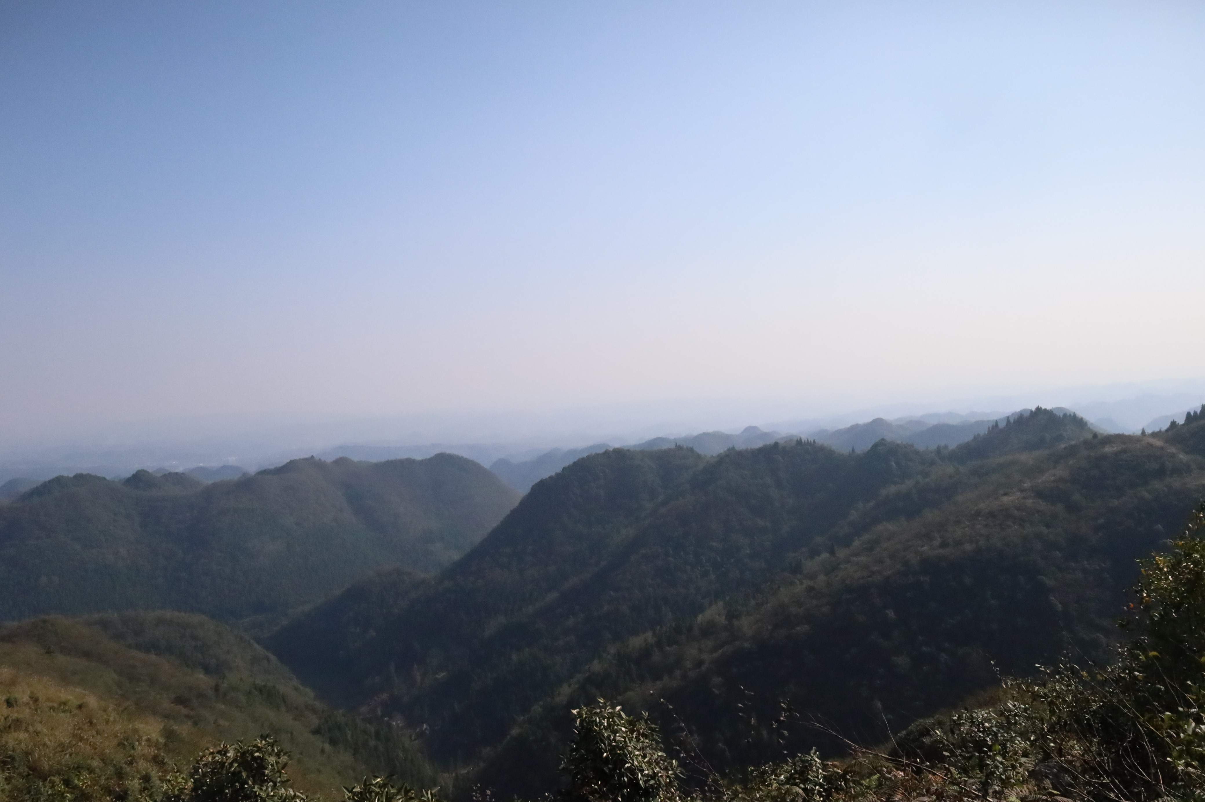 藏在日常里的“貴州科技養(yǎng)生”！貴州中科分子讓道地本草走進(jìn)千萬(wàn)家庭