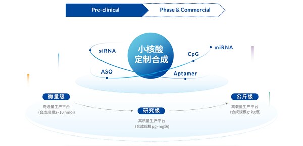擎科生物推出"siRNA裸序列定制合成服務(wù)"，創(chuàng)新實(shí)現(xiàn)最快3天交付