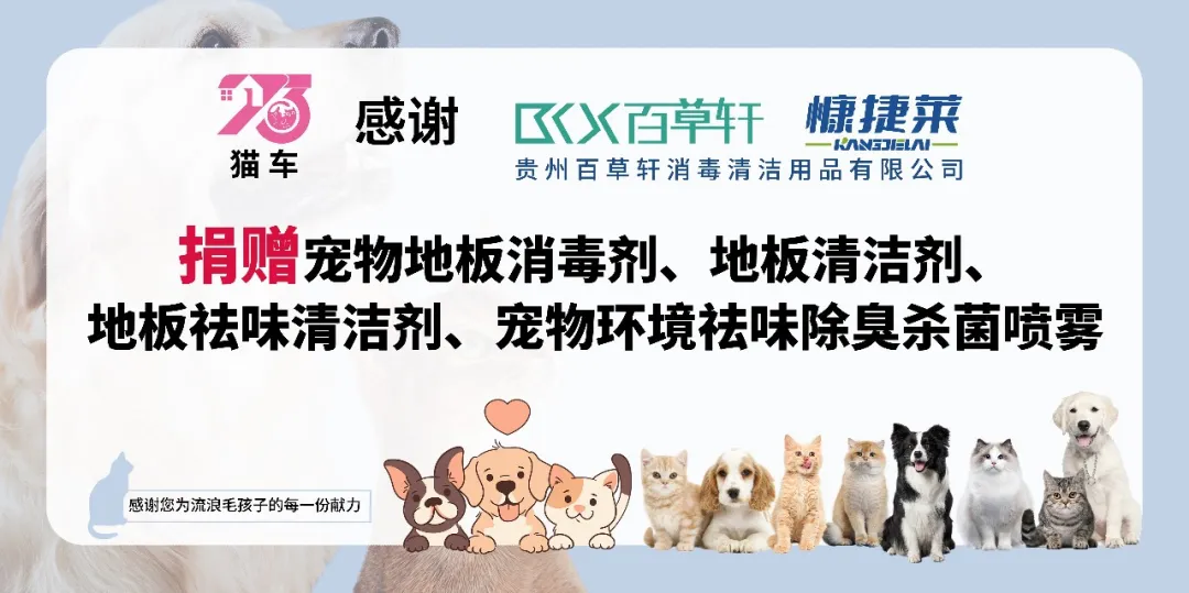 暖冬計劃 | 2026貴州百草軒公益行動，用科技為流浪毛孩子筑牢健康防線