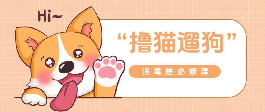 千億它經(jīng)濟(jì)風(fēng)口下，寵物消毒賽道成新藍(lán)海！貴州百草軒邀您搶占先機(jī)